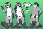  afro agender_pride_colors ambiguous_gender anthro asexual_pride_colors balls breasts female genitals lgbt_pride male mammal model_sheet nude pride_colors procyonid pubes raccoon solo soranotamashii 