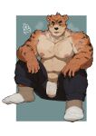  2021 absurd_res anthro belly bottomwear bulge clothing felid fur hi_res kemono male mammal moobs musclegut musk navel nipples orange_body orange_fur pantherine pants piero03432812 sitting slightly_chubby solo tiger tongue tongue_out underwear 