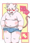  2021 anthro belly blush bodily_fluids bulge clothing hi_res kemono male mammal moobs mouse murid murine navel nipples overweight overweight_male reddo12340 rodent solo sweat underwear white_body 
