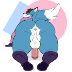 anthro anus backsack balls black_nose blue_body blue_fur butt canid canine canis clothed clothing cookie_(nick-sona) digitigrade erection eroborus fingers fur genitals hair hi_res humanoid_genitalia humanoid_penis looking_at_viewer male mammal penis rear_view simple_background solo thick_thighs white_body white_fur 