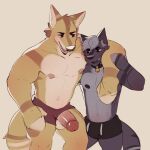  absurd_res anthro balls barazoku boxers_(clothing) bulge canid canine canis clothing duo genitals hi_res male male/male mammal muscular nipples pecs penis shy snaft_(character) snaftfc underwear wolf 