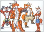  abs anthro bottomwear bulge canid canine clothing cooner fox group male mammal muscular shorts 