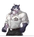  1boy bara belt black_belt black_pants blue_eyes chest_hair furry highres large_pectorals male_focus mature_male muscular muscular_male original pants pectoral_cleavage pectorals selkiro shirt sleeves_rolled_up solo white_shirt wolf 