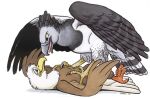  2017 4_toes accipitrid accipitriform ambiguous_gender anisodactyl avian bald_eagle beak biped bird bird_feet black_claws black_eyebrows brown_body brown_feathers c_eagle claws dated digitigrade duo eagle eyebrows feathers feet feral grey_body grey_feathers harpy_(roz_gibson) harpy_eagle lying marker_(artwork) multicolored_body multicolored_feathers on_back open_beak open_mouth pink_tongue pinned roz_gibson scutes sea_eagle shaded signature simple_background tail_feathers talons toe_claws toes tongue traditional_media_(artwork) two_tone_body two_tone_feathers white_background white_body white_feathers yellow_eyes 