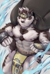  1boy abs ainu_clothes animal_ears bara bulge chest_hair furry furry_male grey_fur grey_hair headband highres horkeu_kamui jacket jacket_on_shoulders large_pectorals male_focus multicolored_hair muscular muscular_male navel navel_hair nipples no_male_underwear no_shirt pectorals pelvic_curtain short_hair silver_hair solo stomach taki_kaze testicle_peek thick_thighs thighs tokyo_afterschool_summoners topless_male two-tone_fur two-tone_hair white_fur wolf_boy wolf_ears yellow_eyes 