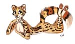  4_toes 5_fingers anthro blue_eyes breasts clothed clothing feet felid feline female fingers flashw mammal serval smile toes 