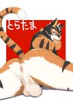  1boy absurdres animal_ears anus ass ass_focus bara beige_fur bottomless come_hither dotsu_(wtnbkwiyd) facial_hair feet_out_of_frame from_behind furry furry_male goatee highres live_a_hero looking_at_viewer male_focus mask muscular muscular_male naked_shirt orange_fur presenting ryekie_(live_a_hero) seductive_smile shirt smile solo spread_legs tail tail_raised testicles_press thick_thighs thighs tiger_boy tiger_ears tiger_tail two-tone_fur 