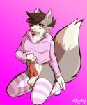  anthro blush canid canine canis clothing furryafoxy genitals girly hi_res legwear male mammal penis solo sweater thigh_highs topwear wolf 