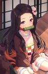  1girl asa_no_ha_(pattern) bamboo between_legs bit_gag black_hair black_jacket blush box checkered_obi commentary english_commentary forehead from_above gag gagged hair_ribbon hand_between_legs haori highres in_box in_container indoors jacket japanese_clothes kamado_nezuko kimetsu_no_yaiba kimono long_hair looking_at_viewer looking_up mouth_hold multicolored_hair on_floor orange_hair pink_eyes pink_kimono pink_ribbon ribbon seiza sitting slit_pupils solo staring tatami tiri two-tone_hair very_long_hair wide_sleeves 