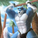  2017 anthro big_muscles black_nose blue_body blue_fur bruno_(bluwuff) bulge canid canine canis clothed clothing eyewear fur grin humanoid_hands jewelry looking_at_viewer male mammal multicolored_body multicolored_fur muscular muscular_anthro muscular_male necklace smile solo standing sunglasses swimwear tigerlukke topless two_tone_body two_tone_fur wet white_body white_fur wolf yellow_eyes 
