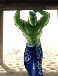  2020 abs anthro bgn biceps clothed clothing dated elemental_creature flora_fauna food food_creature fruit hi_res jewelry keyth_(bgn) leaning lime living_fruit male muscular muscular_anthro muscular_male navel necklace plant sand sarong signature solo standing topless 