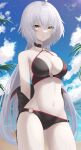  1girl absurdres ahoge anima_miko bangs bare_shoulders beach bikini black_bikini black_gloves black_jacket blue_sky breasts choker cleavage cropped_jacket fate/grand_order fate_(series) gloves highres jacket jeanne_d&#039;arc_(alter_swimsuit_berserker)_(fate) jeanne_d&#039;arc_(fate) large_breasts long_hair long_sleeves looking_at_viewer navel o-ring o-ring_bikini ocean official_art shore shrug_(clothing) silver_hair sky solo swimsuit thighs very_long_hair yellow_eyes 