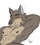  2021 anthro black_eyebrows black_nose canid canine canis clothed clothing digital_drawing_(artwork) digital_media_(artwork) dreamworks eyebrows fur grey_body grey_fur half-closed_eyes inner_ear_fluff male mammal mr._wolf_(the_bad_guys) narrowed_eyes nipples signature simple_background sketch solo tan_body tan_fur the_bad_guys topless toroi tuft white_background white_body white_fur wolf yellow_eyes 