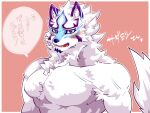  anthro blue_eyes blush canid canine embarrassed facial_markings fur head_markings hi_res japanese_text lifewonders live-a-hero male mammal markings muscular muscular_anthro muscular_male pecs pyc6zncwf9uvnpf sadayoshi shirtless solo text video_games white_body white_fur 