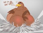  2020 accipitrid accipitriform anthro avian beak belly big_belly big_butt biped bird black_eyebrows blush bodily_fluids brown_body brown_feathers bubble_butt butt colored_sketch dialogue digital_media_(artwork) eagle emanata english_text eyebrows feathered_wings feathers fedor_(snitch) flat_colors flustered huge_butt huge_thighs looking_at_viewer looking_back looking_back_at_viewer male nest nude obese obese_anthro obese_male overweight overweight_anthro overweight_male purple_eyes rear_view semi-anthro sitting sketch snitch_(artist) solo sweat sweatdrop tail_feathers text thick_thighs wide_hips wings yellow_beak 