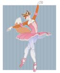  alex_(disambiguation) anthro ballerina ballet bottomwear breasts bulge canid canine clothed clothing crossdressing dancewear embarrassed fake_breasts fox genital_outline hi_res kumir legwear male mammal shy skirt small_breasts solo tight_clothing tights tutu 