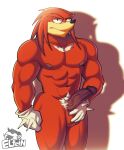  2021 abs anthro balls big_muscles big_penis clothing echidna elfein erection eyebrows fur genitals gloves handwear hi_res humanoid_genitalia humanoid_penis knuckles_the_echidna looking_at_viewer male mammal monotreme muscular muscular_anthro muscular_male narrowed_eyes navel nipples nude pecs penis presenting presenting_penis sega shadow simple_background solo sonic_the_hedgehog_(series) spiked_gloves spikes standing tuft vein watermark white_background 