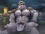  1boy abs absurdres animal_ears bara body_fur bulge chest_hair chizo_(chizo67) covering feet_out_of_frame furry furry_male grey_fur grey_hair highres horkeu_kamui lantern large_pectorals male_focus male_pubic_hair multicolored_hair muscular muscular_male navel nipples nude_cover onsen partially_submerged pectorals pubic_hair reward_available scar scar_on_cheek scar_on_chest scar_on_face see-through short_hair solo spread_legs stomach thick_thighs thighs tokyo_afterschool_summoners topless_male two-tone_fur two-tone_hair wet_towel white_fur wolf_boy wolf_ears yellow_eyes 