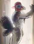 anthro avian bgn bird clothing flat_cap galliform hat headgear headwear hi_res male nude phasianid solo turkey 