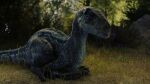  16:9 2021 3d_(artwork) 4k absurd_res blue_(jurassic_world) blue_body blue_scales blurred_background claws detailed_background digital_media_(artwork) dinosaur dromaeosaurid female feral forest grass grey_body grey_scales hi_res ivorylagiacrus jurassic_park jurassic_world looking_at_viewer multicolored_body multicolored_scales on_ground orange_eyes outside plant pupils reptile scales scalie sharp_claws sharp_teeth sitting slit_pupils solo teeth theropod tree universal_studios velociraptor video_games widescreen 