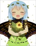  1girl antennae antidote aqua_hair blush butterfly_wings closed_eyes dress eternity_larva facing_viewer fairy fang flower green_dress holding holding_flower leaf leaf_on_head multicolored_clothes multicolored_dress open_mouth short_hair single_strap smile solo sunflower touhou upper_body white_background wings yellow_flower 