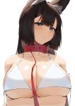  1girl absurdres amagi_(azur_lane) animal_ear_fluff animal_ears arms_under_breasts artist_name azur_lane belt_collar bikini bikini_top blush breast_hold breasts brown_hair cleavage closed_mouth collar commentary eyebrows_visible_through_hair eyeshadow fox_ears highres huge_breasts leash looking_at_viewer lordol makeup mismatched_eyebrows purple_eyes red_collar simple_background solo swimsuit thick_eyebrows white_background white_bikini 