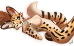  2021 5_fingers anthro breasts featureless_breasts felid feline female fingers flashw mammal nude serval simple_background smile solo white_background 
