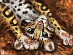  2021 ambiguous_gender digital_media_(artwork) felid feline feral flashw green_eyes leopardus mammal ocelot solo 