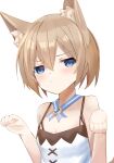  1girl animal_ears annoyed bare_shoulders bimmy blanc_(neptune_series) blue_eyes blush breasts brown_hair cat_ears cat_girl cat_tail cleavage dress embarrassed hair_between_eyes hands_up highres kemonomimi_mode looking_at_viewer neptune_(series) parted_lips paw_pose short_hair simple_background small_breasts solo spaghetti_strap tail upper_body white_background white_dress 