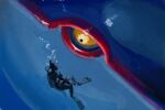  1boy absurdres air_bubble black_sclera bubble colored_sclera commentary_request diving_mask flippers giant goggles highres kyogre male_focus ocean oxygen_tank pecohophop pokemon scuba_gear sideways_glance underwater yellow_eyes 