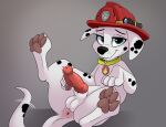  absurd_res animal_genitalia animal_penis canid canine canine_penis canis cute_expression dalmatian domestic_dog feral fur genitals hi_res male mammal marshall_(paw_patrol) paw_patrol penis smitty_g solo white_body white_fur 