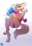  anthro aruurara bottomwear bouquet canid canine clothing female flower fox fur green_eyes hair hair_over_eye hi_res liina_(aruurara) mammal one_eye_obstructed orange_body orange_fur part_of_a_set plant safe_(disambiguation) shorts simple_background solo white_background white_hair 