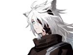  1girl ahoge animal_ears aqua_eyes arknights black_coat closed_mouth coat expressionless hair_ornament hairclip high_collar kuroda_(nanchara_flight) lappland_(arknights) long_hair oripathy_lesion_(arknights) portrait silver_hair simple_background solo white_background wolf_ears 