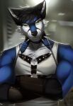  2021 absurd_res anthro black_hair black_nose blue_body blue_fur canid canine clothed clothing collar digital_media_(artwork) fox fur green_eyes hair hi_res lesspie looking_at_viewer male mammal smile solo 