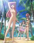  5girls asakaze_risa ball barefoot beach bikini brown_hair character_request female hanabishi_miki hayate_no_gotoku! katsura_hinagiku katsura_yukiji long_hair multiple_girls nipples nude nude_filter palm_tree photoshop pink_hair purple_hair pussy sand segawa_izumi shorts smile standing swimsuit tree uncensored zenra 