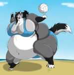  alicia_(biglovealicia) anthro ball beach big_breasts bikini breasts canid canine canis clothing female hectorthewolf hi_res huge_breasts mammal obese overweight seaside solo swimwear volleyball_(ball) wolf 