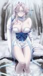  1girl absurdres aqua_eyes blush braid breasts cleavage crown_braid hair_bun highres huge_breasts last_origin looking_at_viewer mnemosyne_(last_origin) pale_skin short_shorts shorts silver_hair solo teddyellow thighs yuki_onna 