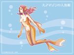  breasts fish_girl futanari monster_girl nipples penis scales swimming water 