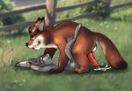  anthro bdsm bondage bound canid canine cumming_outside disney duo ejaculation female fox gideon_grey hi_res interspecies judy_hopps knot lagomorph leporid lettuceoncat looking_pleasured male male/female mammal outside_sex rabbit zootopia 