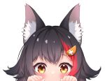  1girl animal_ear_fluff animal_ears bangs black_hair blush commentary_request eyebrows_visible_through_hair hair_between_eyes hair_flaps highres hololive looking_at_viewer multicolored_hair ookami_mio peeking red_hair simple_background solo streaked_hair takumin_dx virtual_youtuber white_background wolf_ears wolf_girl yellow_eyes 