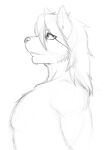  2015 anthro athletic athletic_anthro athletic_male canid canine canis domestic_dog hair husky kouya_(morenatsu) male mammal monochrome morenatsu muscular muscular_anthro muscular_male nordic_sled_dog nukde short_hair side_view sketch smile solo spitz standing video_games visual_novel 