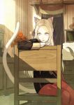  1girl animal_ear_fluff animal_ears arm_rest black_jacket book book_stack cat_ears cat_girl cat_tail chair commentary desk drawer edelgard_von_hresvelg feet_out_of_frame fire_emblem fire_emblem:_three_houses flower gloves hair_ribbon half_updo highres indoors jacket kemonomimi_mode light_rays long_hair looking_to_the_side mouse mueririko on_chair pantyhose plant potted_plant purple_eyes quill red_flower red_legwear ribbon shelf silver_hair sitting solo stuffed_animal stuffed_toy sunbeam sunlight tail teddy_bear white_gloves wooden_floor wooden_wall 