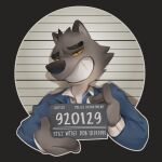  2021 anthro black_eyebrows blue_clothing blue_topwear canid canine canis clothing eyebrows fingers fur grey_body grey_fur grin hi_res looking_at_viewer mammal mugshot pawsve smile solo teeth topwear wolf 