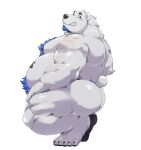  2021 absurd_res anthro belly butt hi_res jumperbear kemono male mammal moobs nipples overweight overweight_male polar_bear simple_background solo ursid ursine white_background white_body 