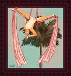  absurd_res aerial_silk chubby_male framed_picture fur hair hi_res lagomorph leporid male mammal muscular muscular_male orange_body orange_fur palm_tree plant rabbit solo tree upside_down warmspaceman white_hair 