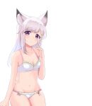 1girl absurdres aitsugawa_rui animal_ear_fluff animal_ears animare blush bra braid breasts cleavage commentary_request cowboy_shot highres long_hair looking_at_viewer medium_breasts panties purple_eyes shiromiya_mimi side_braid simple_background single_braid solo transparent_background underwear underwear_only virtual_youtuber white_bra white_hair white_panties 