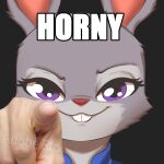  burgermeme disney gesture hi_res image_macro judy_hopps lagomorph leporid looking_at_viewer mammal meme pointing pointing_at_viewer rabbit smug text zootopia 