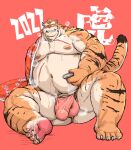  2022 anthro asian_clothing belly bulge chinese_zodiac clothing east_asian_clothing felid fundoshi genital_outline genitals hi_res holidays humanoid_hands japanese_clothing kemono kotobuki male mammal moobs navel new_year new_year_2022 nipples obese obese_male overweight overweight_male pantherine penis penis_outline red_clothing red_fundoshi red_underwear scar sitting solo tiger underwear year_of_the_tiger 