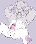 anthro balls biceps blaidd_(elden_ring) blainwolf canid canine canis elden_ring fromsoftware fur genitals hi_res humanoid_genitalia humanoid_hands humanoid_penis looking_at_viewer male mammal manly muscular muscular_anthro muscular_male nipples nude penis scar simple_background solo teeth wolf