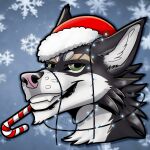 1:1 animated anthro canid canine canis christmas domestic_dog fox holidays icon male mammal newyear portrait short_playtime solo wolf zhekathewolf ztw2023 ztw2024